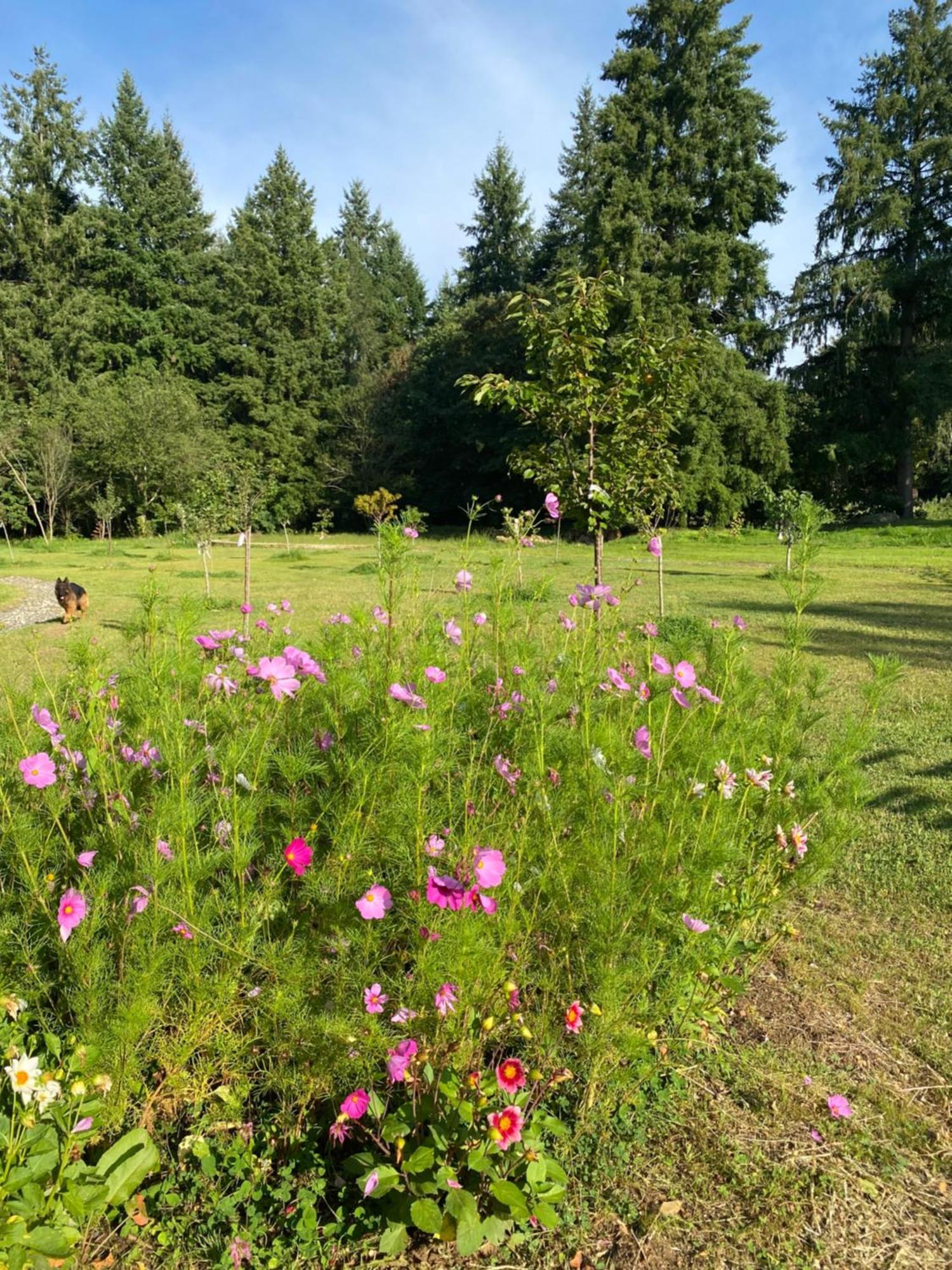 Maison Dans Parc Prive, Sports Et Loisirs Proche Golf Du Coudray Montceaux Le Coudray-Montceaux Εξωτερικό φωτογραφία